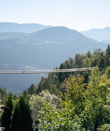 The panoramic bridge in summer